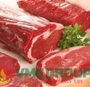 HƯƠNG THỊT – MEAT BOOSTER 594783 - PHỤ GIA TẠO HƯƠNG CAO CẤP